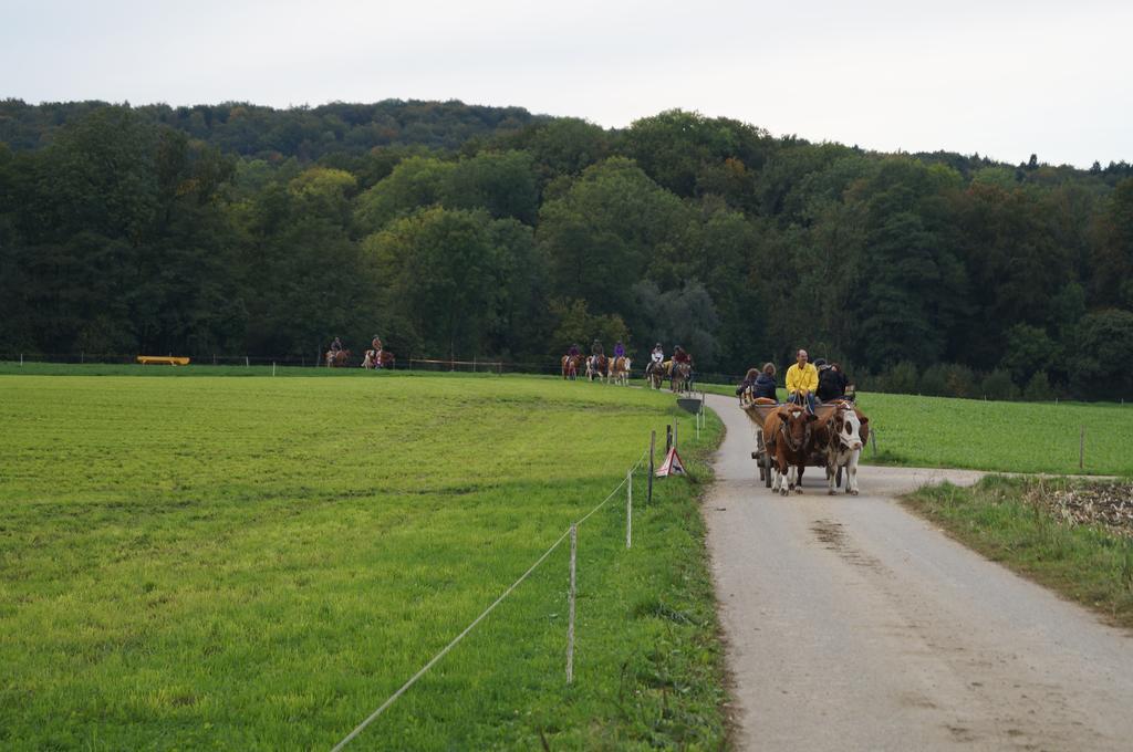 Bolderhof Villa Hemishofen Buitenkant foto