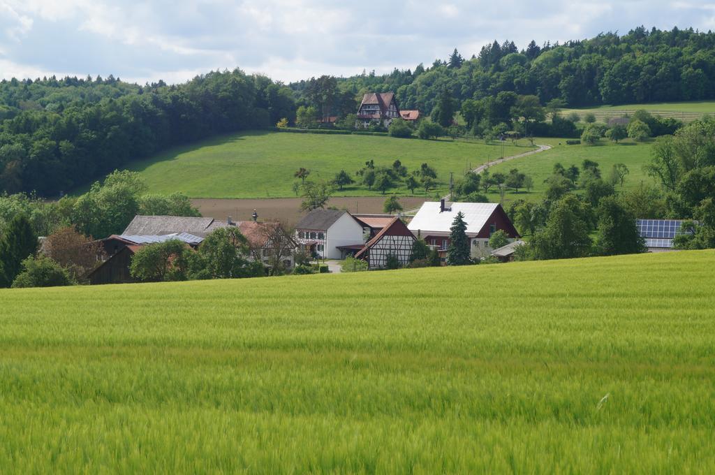 Bolderhof Villa Hemishofen Buitenkant foto